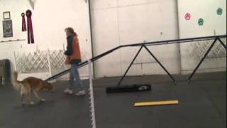 Cheetah's running contacts -electronic touch board 11-28-10.wmv