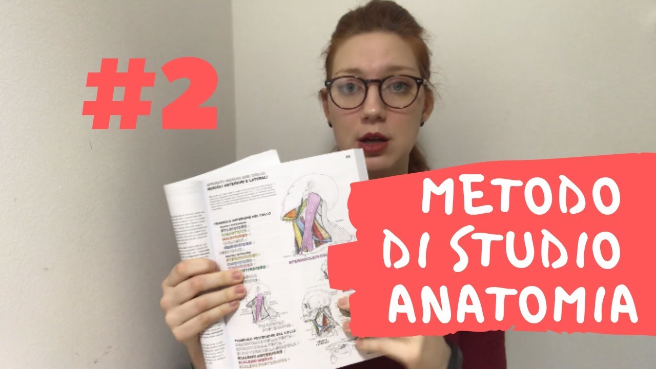 Metodo di studio ANATOMIA #2 - Colorare l'anatomia e schemi - YouTube