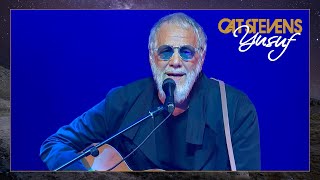 Yusuf / Cat Stevens – The Olive Hill (Live, Istanbul 2022)