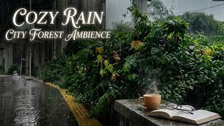 Download Lagu [no iklan] Sedia Aku Sebelum Hujan - Idgitaf (Lagu Paling Trending TikTok) \u0026 Hits Viral 2025-2026 MP3