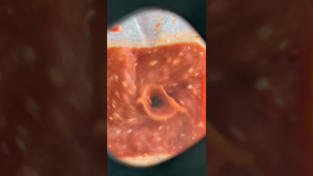 Cottage Cheese Pasta Sauce