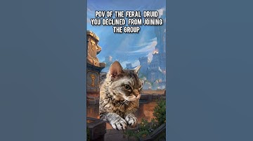 Pov of the feral druid you declined #wow #worldofwarcraft #warcraft