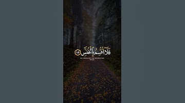 فلا اقسم بالخنس ( سورة التكوير ) | تلاوة جميلة من القارئ سالم الرويلي 🎧🍂🤍 | قرآن كريم