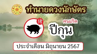 ทำนายดวงนักษัตร คนเกิดปีกุน ประจำเดือน มิถุนายน 2567