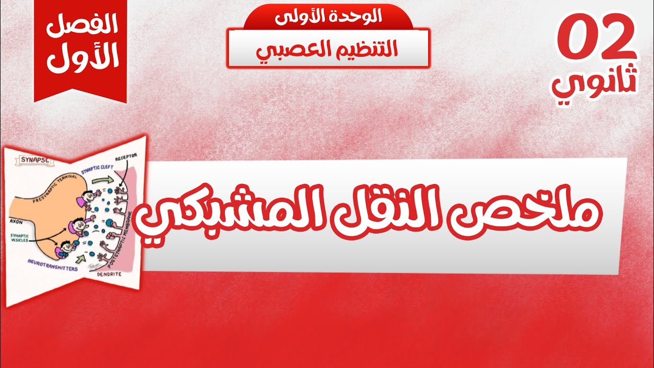 ثانية ثانوي✨ملخص النقل المشبكي  كل ما تحتاجه باختصار😎 مراجعة لاختبار الفصل الاول