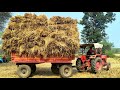 ट्रेक्टर से धान लाने का कार्य 🚜😎 | tractor videos #tractorshortvideo #tractor #mahindra 