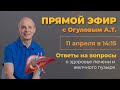 О здоровье печени и желчного пузыря