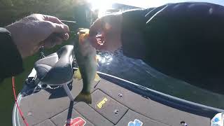 Lake Taneycomo Bass Fishing Report 10-18-22 Branson Missouri