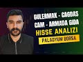 GÜLERMAK - CAĞDAS CAM VE ARMADA GIDA HALKA ARZ HİSSE  ANALİZİ VE SON DURUMU