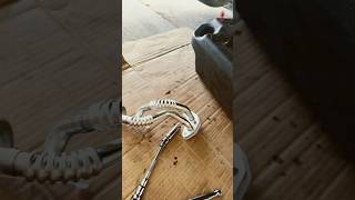 2011 Toyota Sienna Third (3rd) Generation Oil Cooler Lines Hack