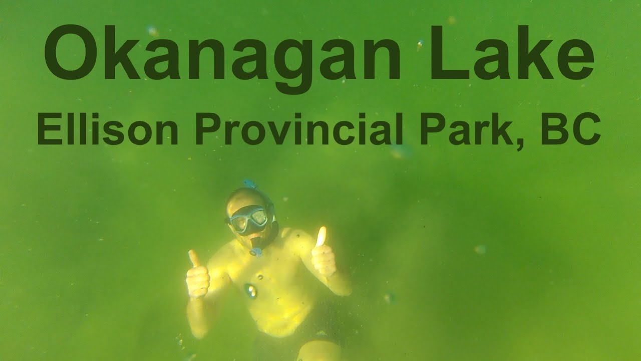 Swimming, Snorkeling and Fishing Okanagan Lake in Ellison Provincial ...