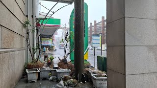 國光客運 9117A路 500-U6 自立站-›枋寮站 全程路程景