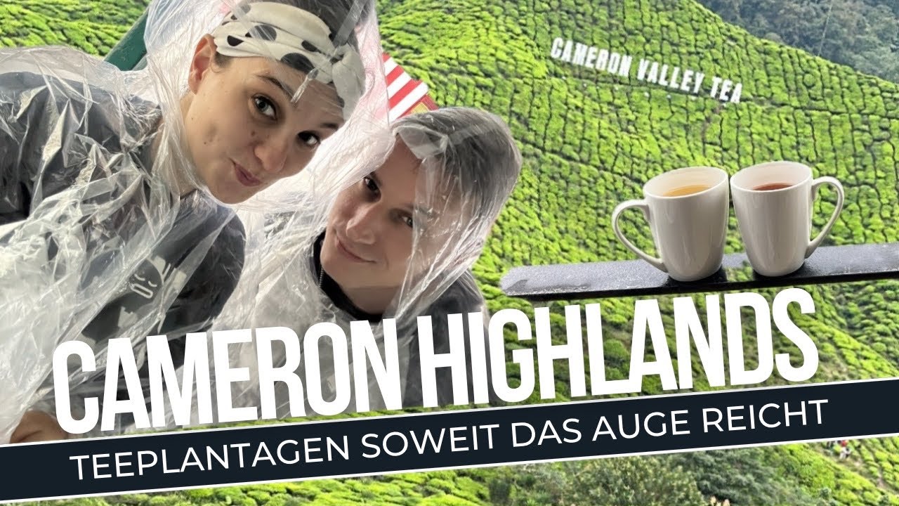 Cameron Highlands, Malaysia – lohnt sich das wirklich?