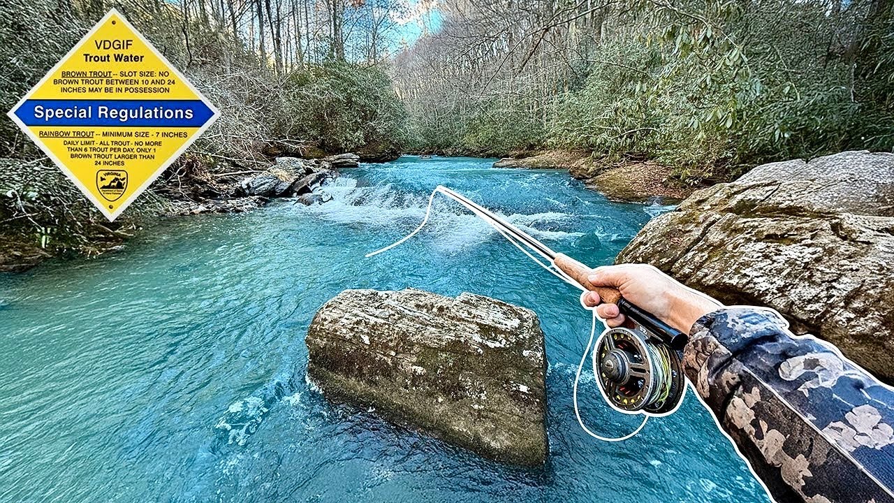 This River is Known for HUGE Wild Trout (Virginia Fly Fishing)