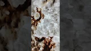Оникс ONICE VIOLA полированный  #натуральныйкамень #оникс #каменьвдизайне #природныйкамень #камень