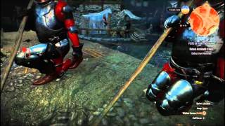The Witcher 3 weird bug