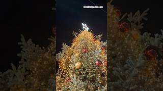 First Christmas Tree Lighting in Greece Celebrated in Halkidiki