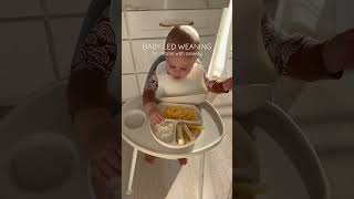 BLW for moms with anxiety | Baby led weaning meal ideas #blw #babyledfeeding #motherhood