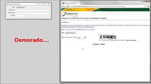 Rápida Consulta - Demonstração de utilização dos serviços