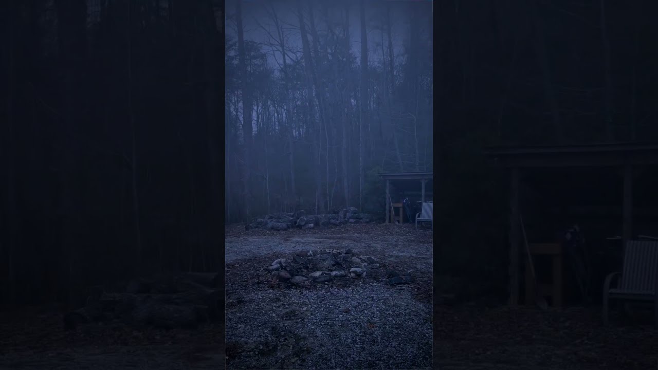 BIGFOOT Caught On Camera Visual Effects Experiment Shorts