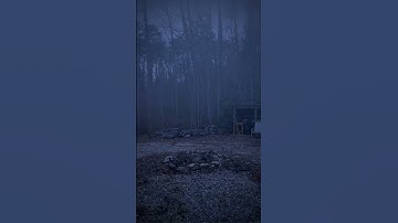 Thumbnail of BIGFOOT Caught on Camera (Visual Effects Experiment) #shorts
