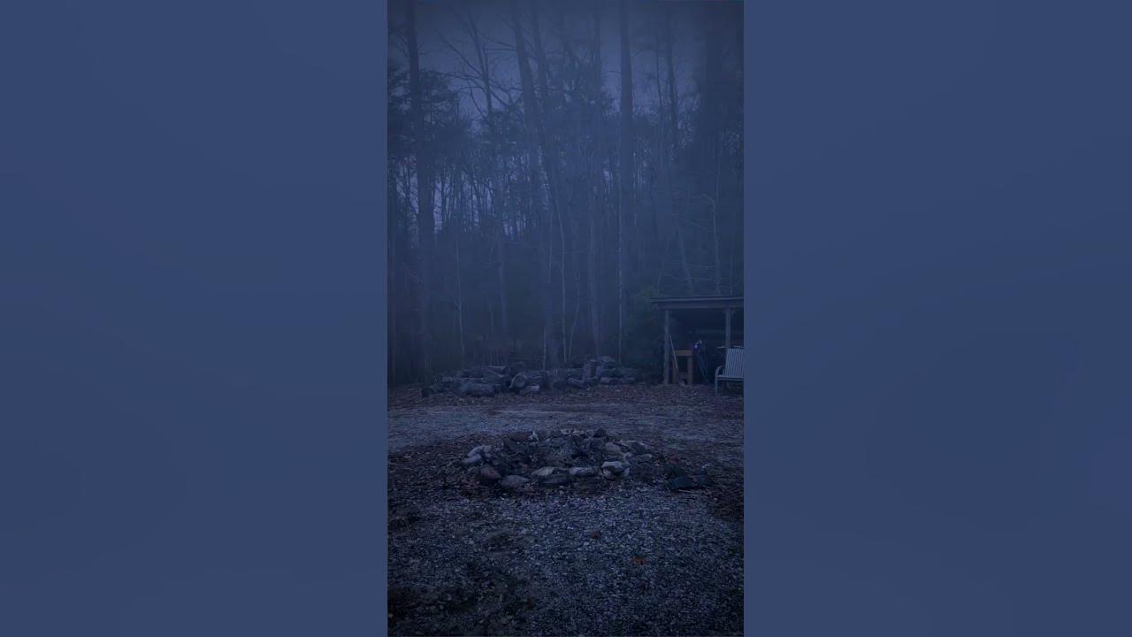 BIGFOOT Caught on Camera (Visual Effects Experiment) #shorts BIGFOOT Caught on Camera (Visual Effects Experiment) #shorts