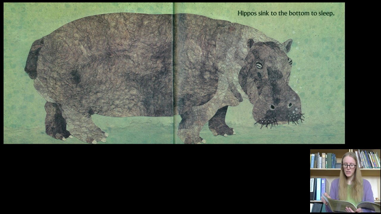 Elephants Swim ReadAloud YouTube