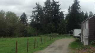 IMG 0270