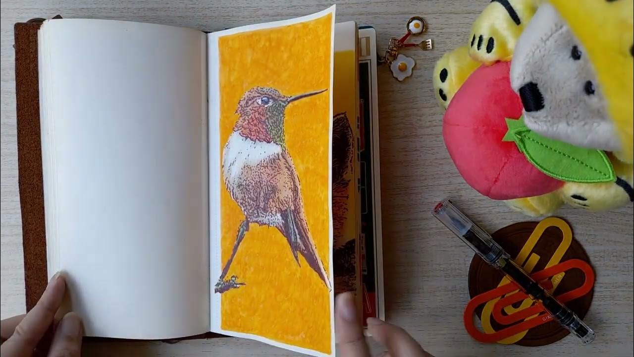 sketchbook tour no. 53 traveler's notebook sketch paper insert refill