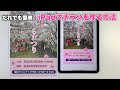 iPadがあれば、だれでも簡単にチラシが作れる／無料アプリで、さくらまつりのチラシを作る方法