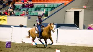 Saddle up for the 2026 Versatile Horse & Rider Competition, sponsored by Chewy!