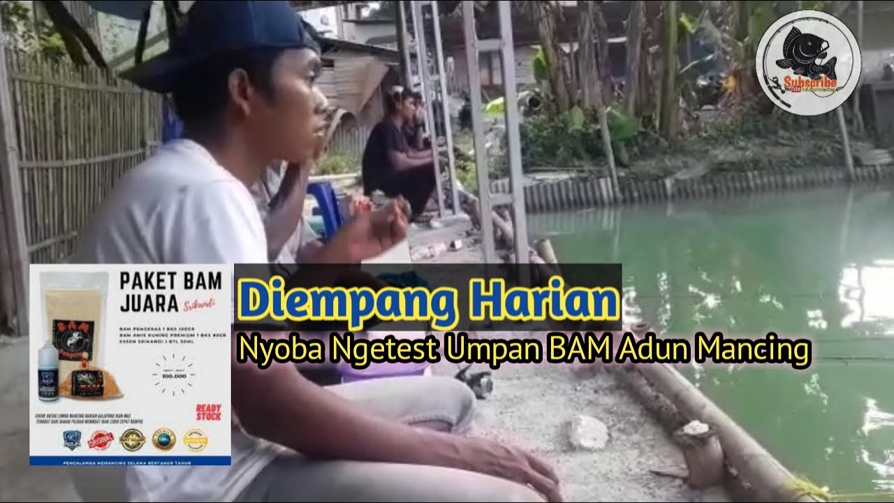 Test Umpan BAM Amis Kuning Premium dimancing harian || Produk Adun Mancing Paket BAM Juara Srikandi