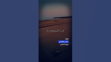 سورة الاحزاب الايه 16-17