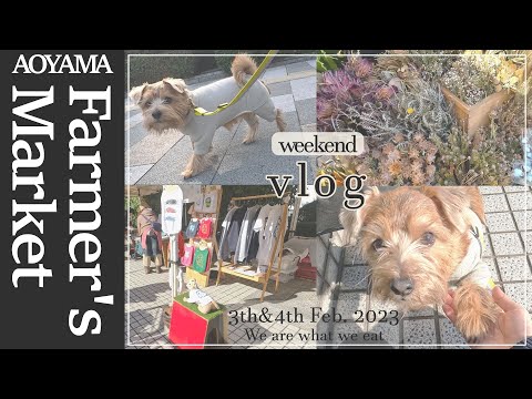 【おしゃれマルシェ】南青山ファーマーズマーケットをお散歩【ノーフォークテリア】