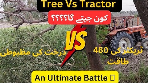 Pulling Down A Tree With Tractor Power Of New Holland 480 | @MansoorWorld96