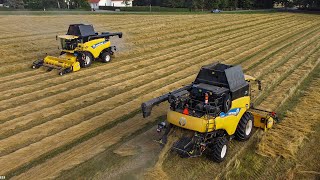 3 New Holland Harvesters in ACTION! New Holland CR9080 & 2 CR 9.80
