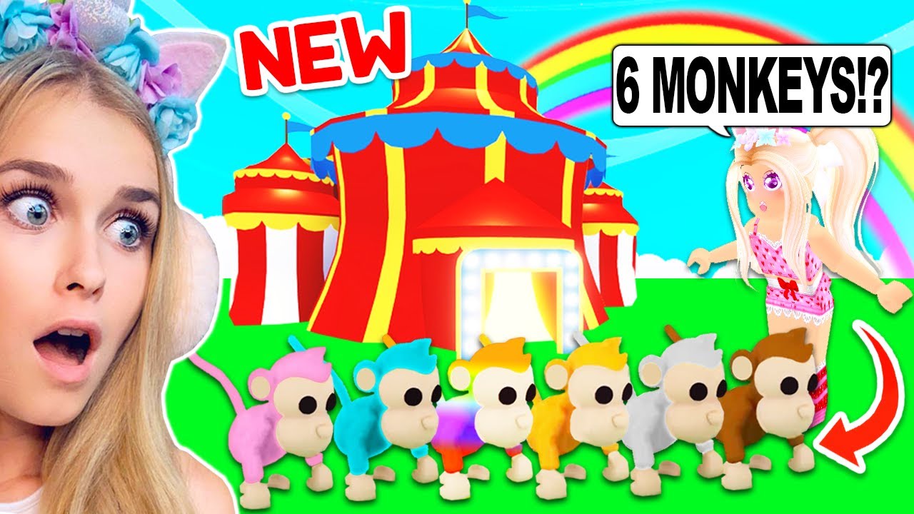 All The New Pet Monkeys Coming To The Fairgound Update In Adopt - roblox adopt me monkey update date