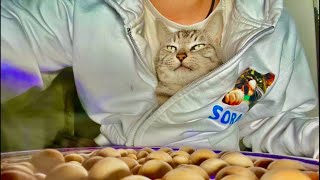 99%が5分で眠くなる