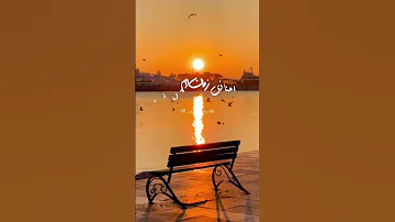 دورت فيكي علي الامان حلات واتس 