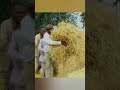 Diraamaa Makaraa 