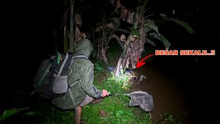 24 HOURS FULL!! Discover Various Types of Animals While Fishing for Channa Limbata in a Small River