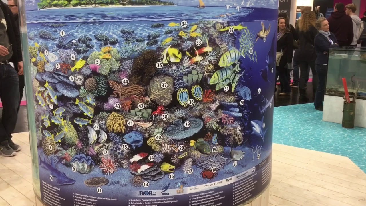 Boot Messe 2018 - Hallen 3 und 4