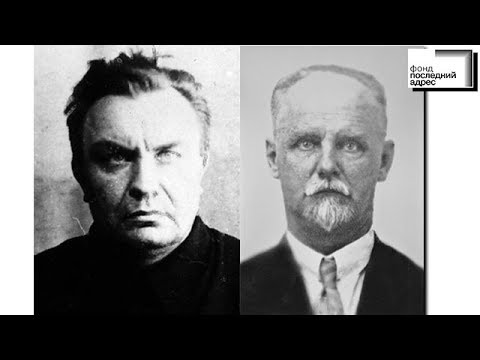 Видео: Ян Берзин: биография, творчество, кариера, личен живот