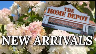 🌱 The BEST Plants at Home Depot Right Now?! I Was Shocked! Nearest Home Depot