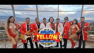 GRUPO YELLOW 2026  MUY PRONTO.