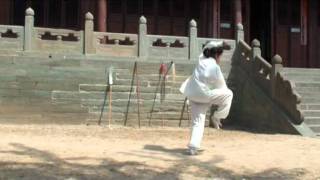 Xuan Gong Chuan Series I