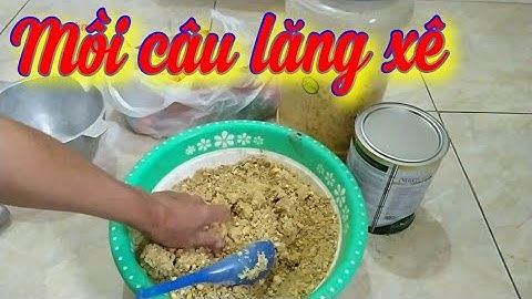 fishing Bài mồi ngũ cốc ủ chua - trị Chép, Trôi.Câu cá mùa đông