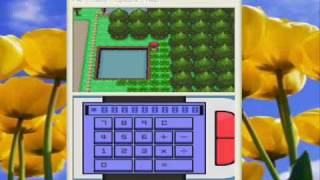 Pokemon Platinum how to use the modifier