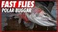 Profile Picture of FAST FLIES: POLAR BUGGAR - YouTube (@youtube.com) on Google