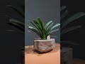 Stone Look Planters-Decorative Indoor Outdoor Plant Pots#planters #natureinspired #SculpturalPlanter